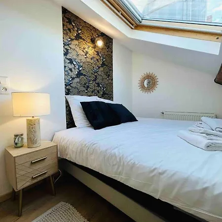 Les Toits De Thillois Hypercentre Apartment Reims